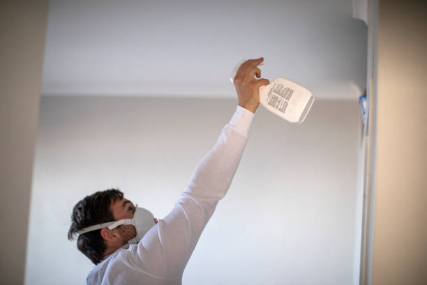 Crawl Space Mold Removal in Christiana, TN