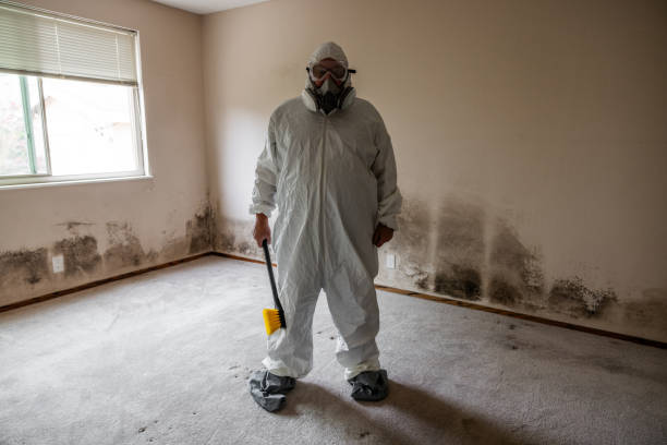 Best Mold Testing  in Christiana, TN